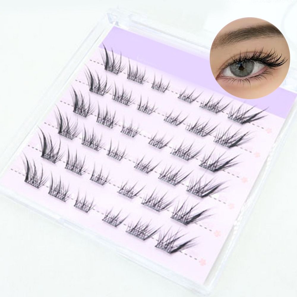 جديد ثلاثية الأبعاد عين القط ر - مراجعة Eyelash Extension Cat Eye وسعره
