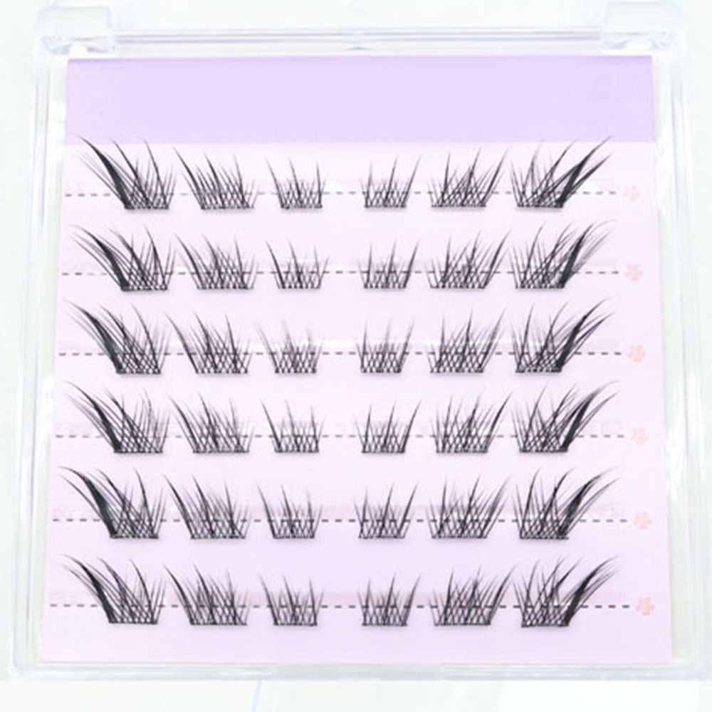 جديد ثلاثية الأبعاد عين القط ر - مراجعة Eyelash Extension Cat Eye وسعره