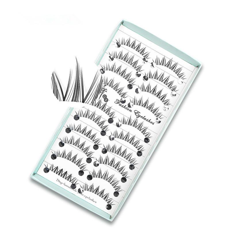 10 أزواج من الرموش الصناعية ال - مراجعة Eyelash Extension Cat Eye وسعره